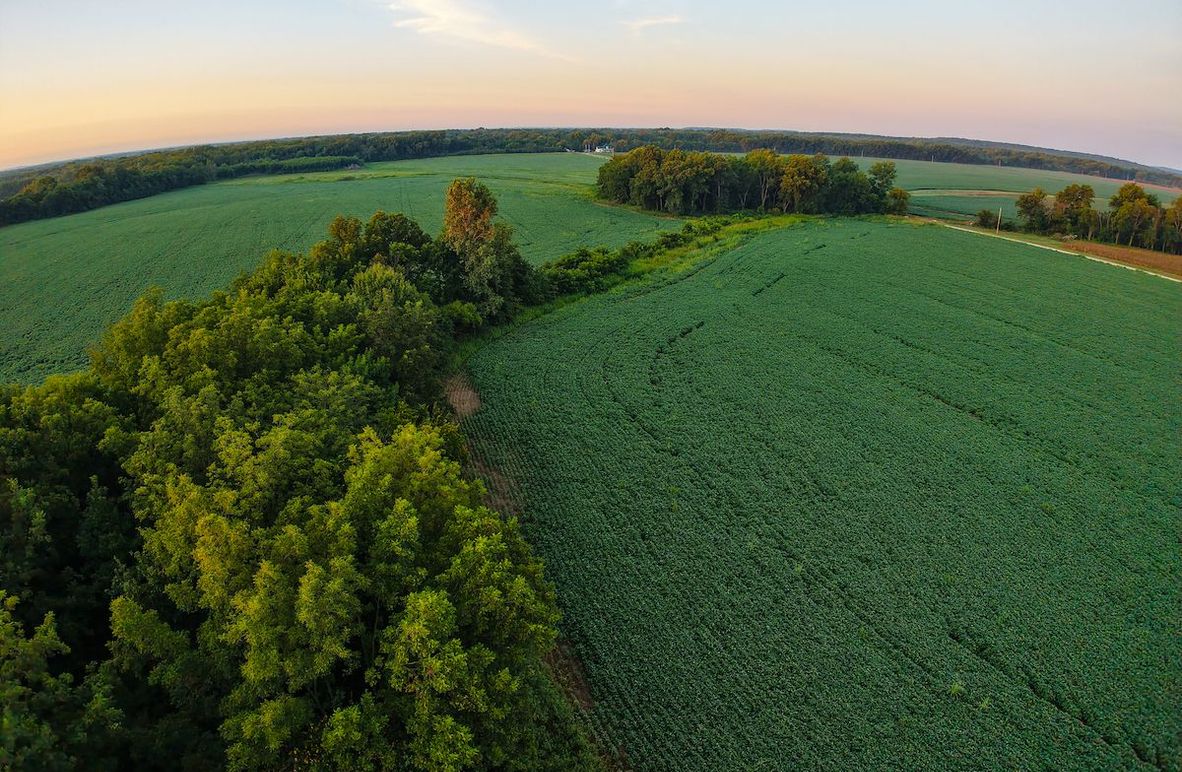 DJI_20250823065100_0877_D