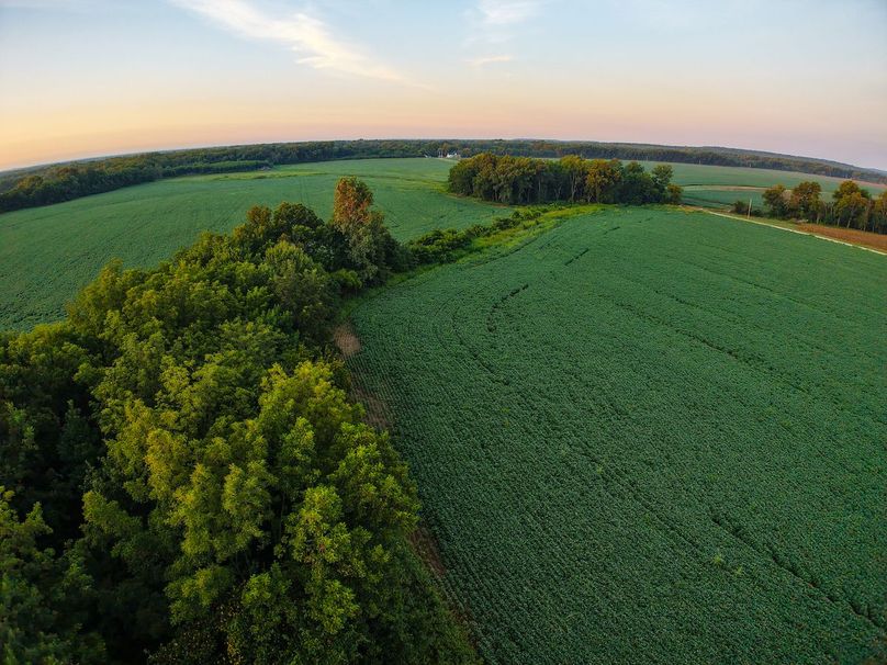 DJI_20250823065100_0877_D