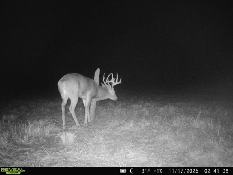 Copy of 860322062100349-100-4-11172025024106-V-W1003577