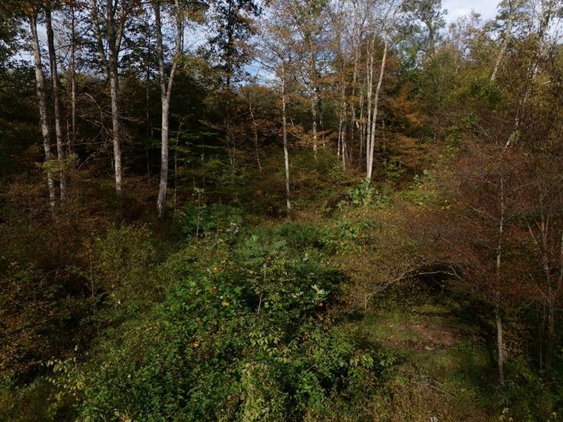 DJI_20250930144909_0012_D