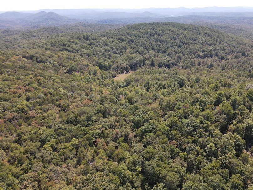 dji_fly_20250902_122648_778_1756834022075_photo