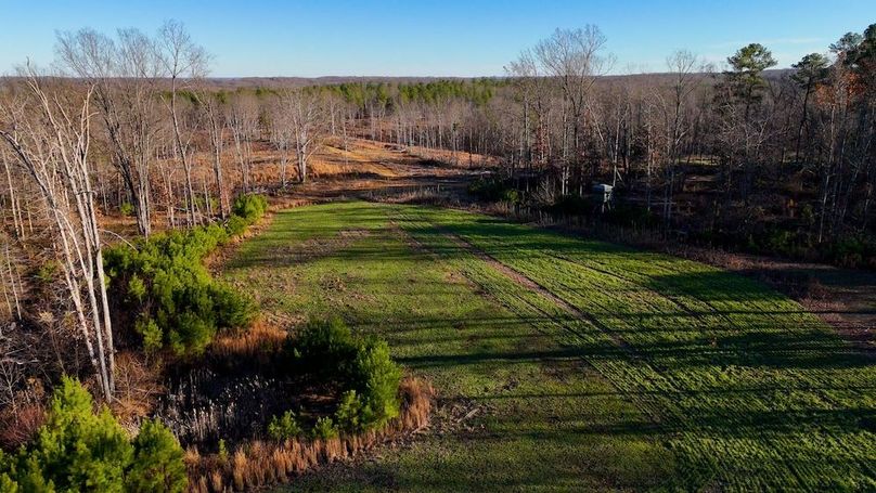 DRONE.00_05_28_00.Still016