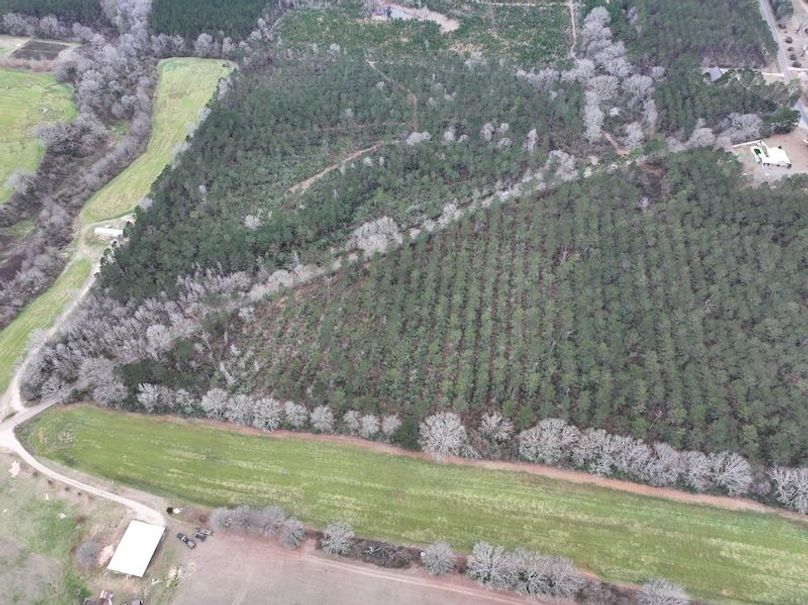 dji_fly_20260217_132954_0119_1771436924047_photo