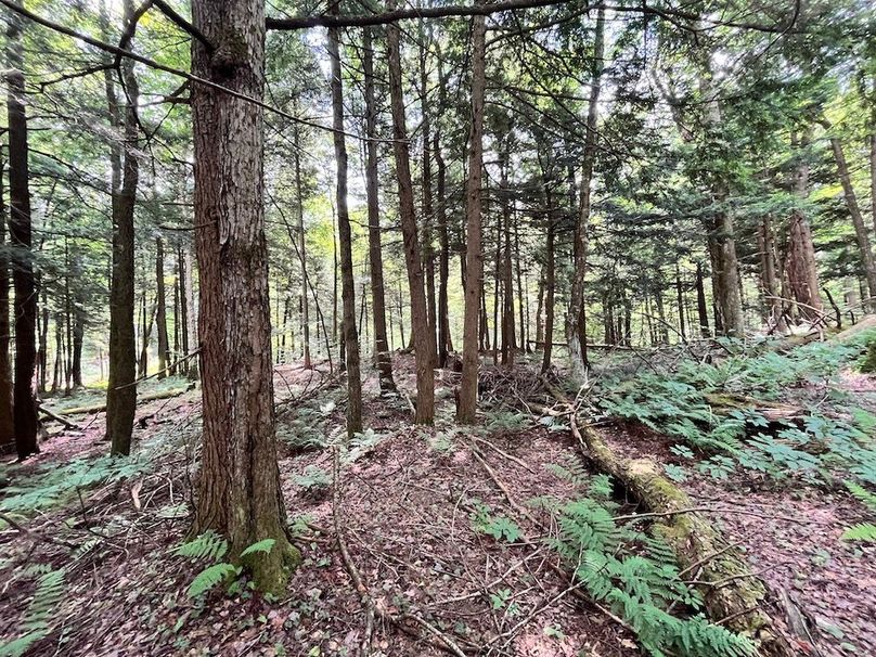 Oswego_133.72_Middleton_Photos_44