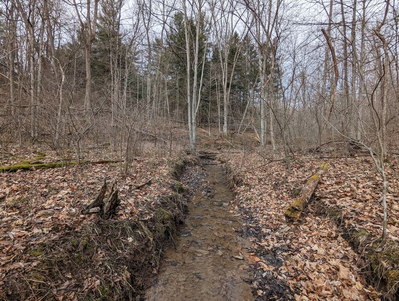 PXL_20230213_160706404