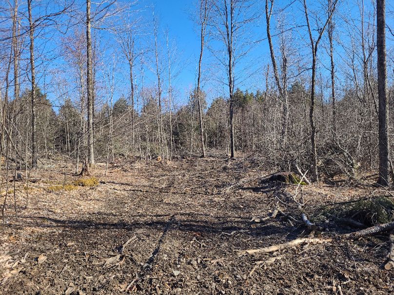 photo_9d50ad8b-31ab-4433-963f-7905f2d5a982