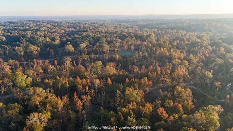 Claiborne Co-151-Geronimo-36