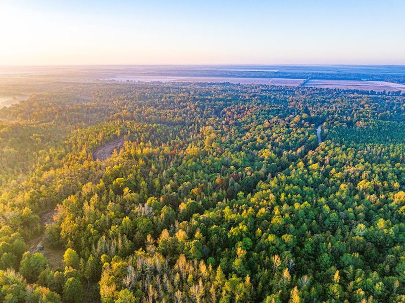 Clay 302.7 Henderson-61