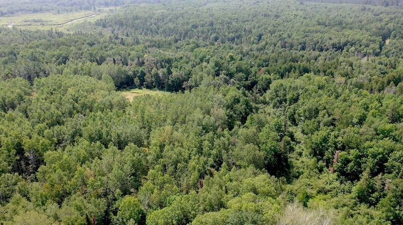 Screenshot 2024-07-29 at 10.11.34 AM copy