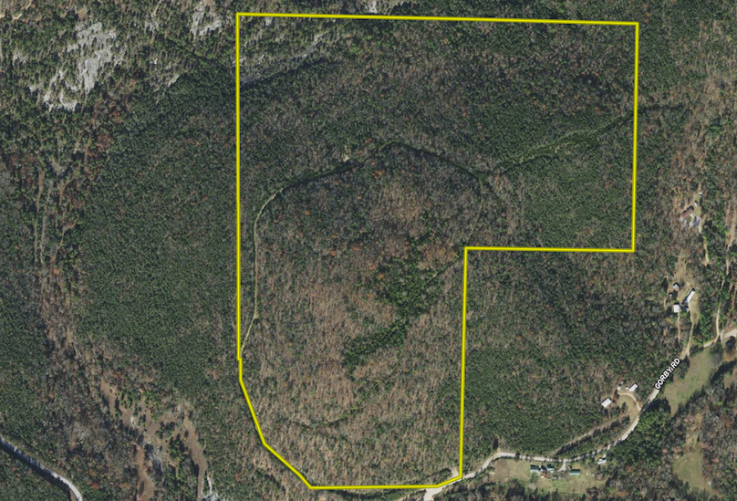 Screen Shot 2024-10-04 at 10.44.59 AM