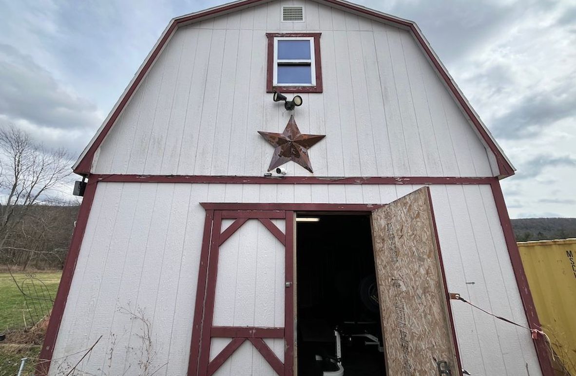 Schuyler_2_Lewis Photo 4