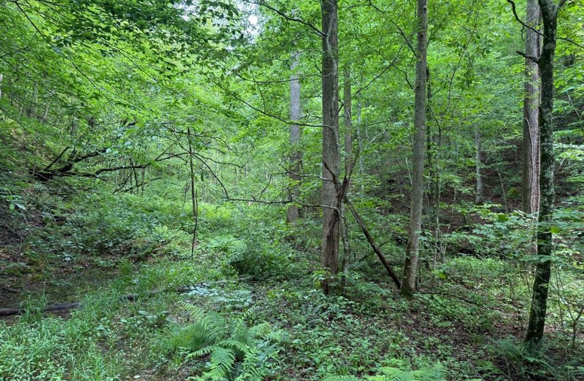 005 the 3500_ entry road leading into the property