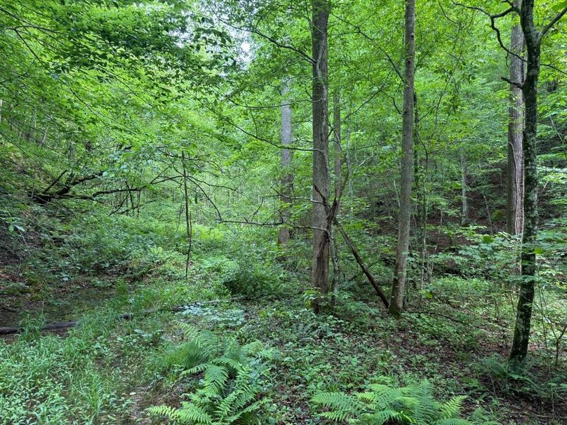 005 the 3500_ entry road leading into the property