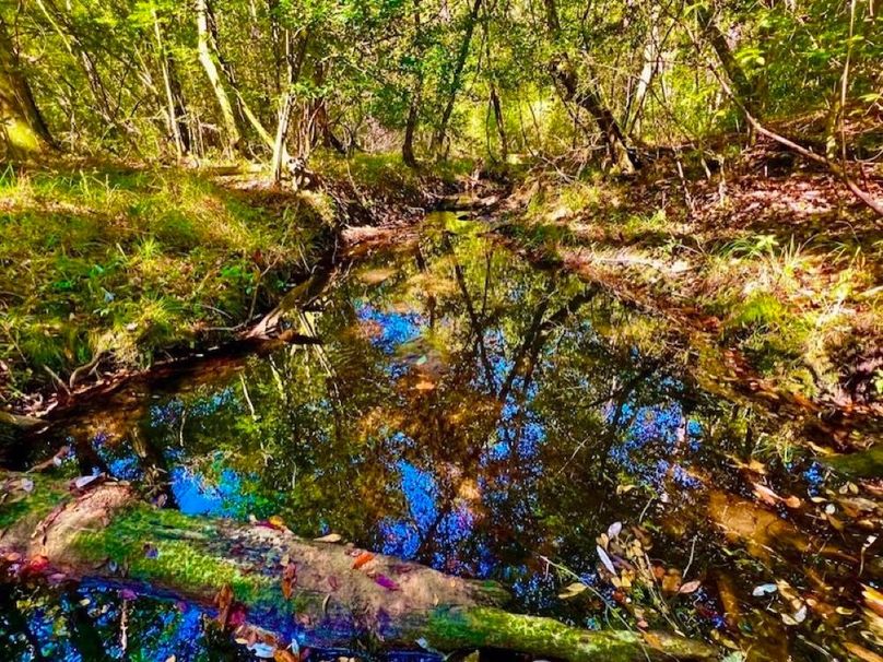 76AA492A-E812-436F-9833-D2E94681D804_1_105_c-2