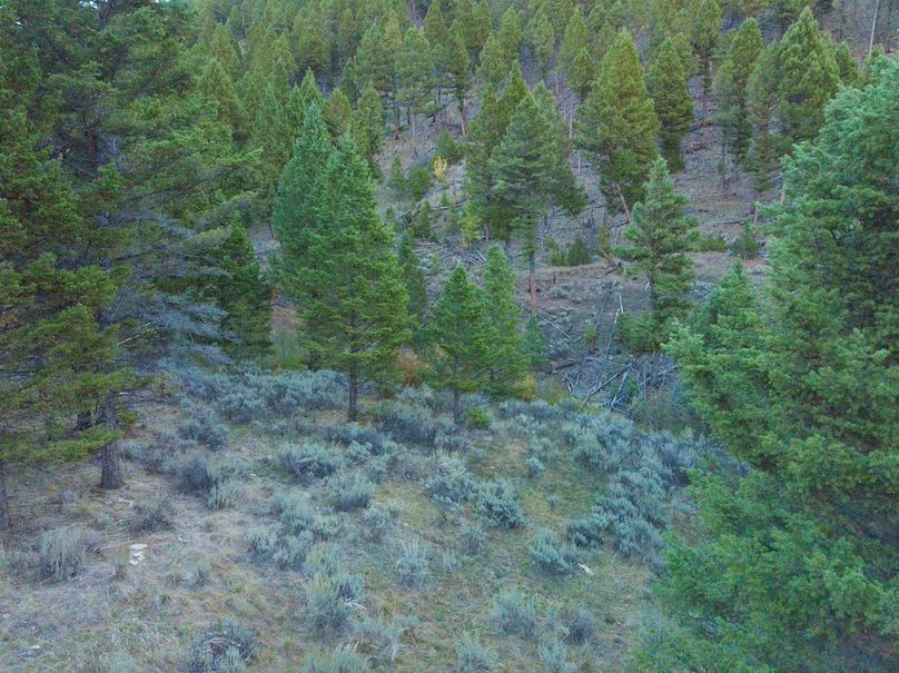 20240925-DJI_0112