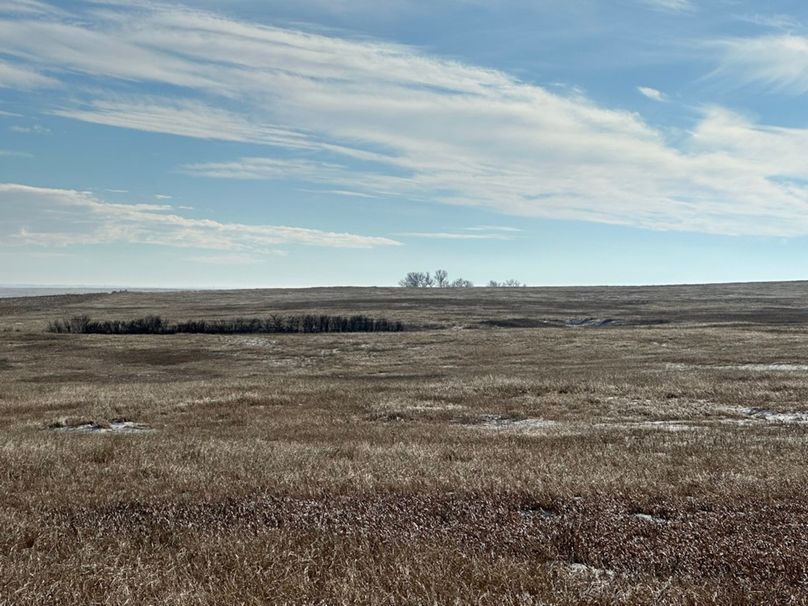 F81C487F-8B5E-42A0-9933-182FCA8A22C7_1_105_c