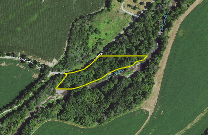 Screen Shot 2024-08-19 at 9.53.06 AM