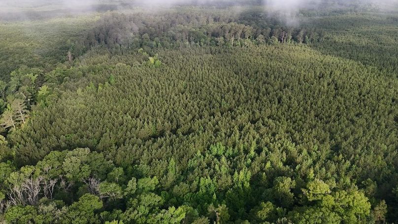 Copy of DJI_20250529205844_0523_D