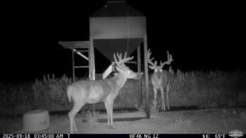 96f97a818a8d08cfc51e1c0e866495b1-small