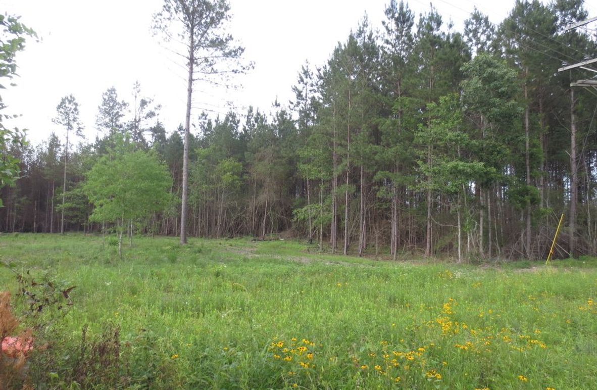 7ED322E6-6666-4918-ABD7-68B769E0D752_1_105_c