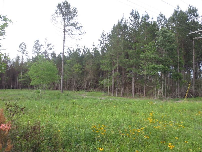 7ED322E6-6666-4918-ABD7-68B769E0D752_1_105_c