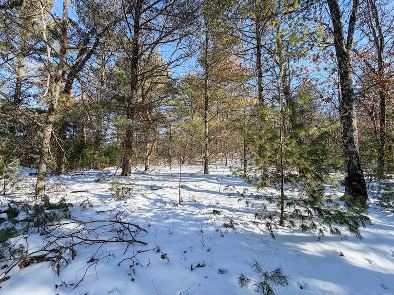 Monroe 68.2 - 85 of 120