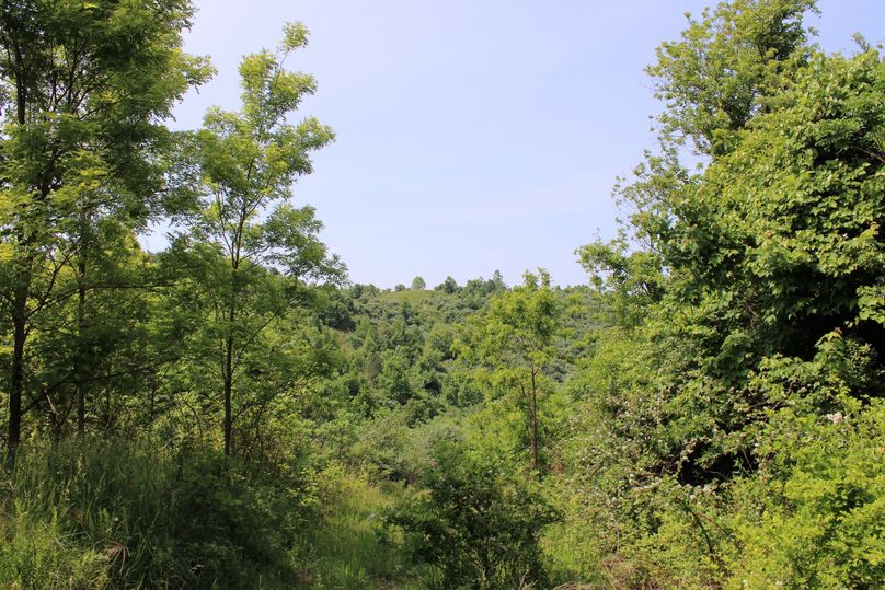 029 amazing views looking towards the peaks