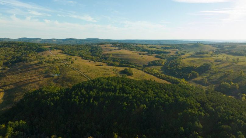 DJI_0184