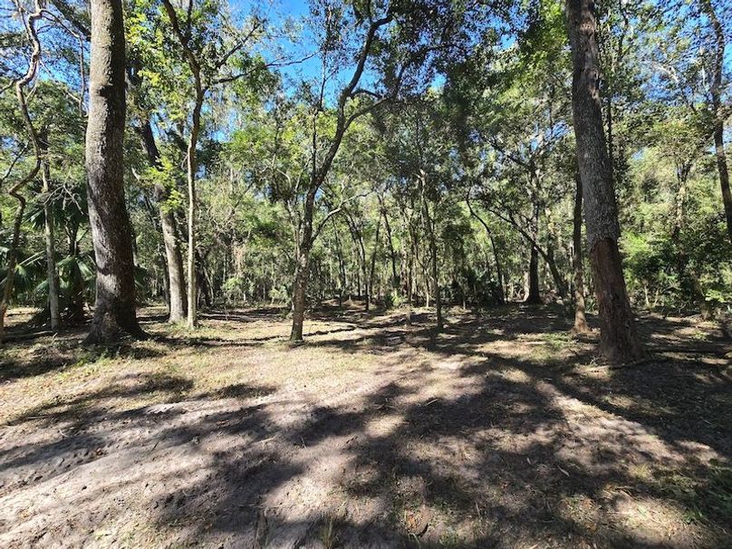 7.8ac, Citrus, Andrew Goering12