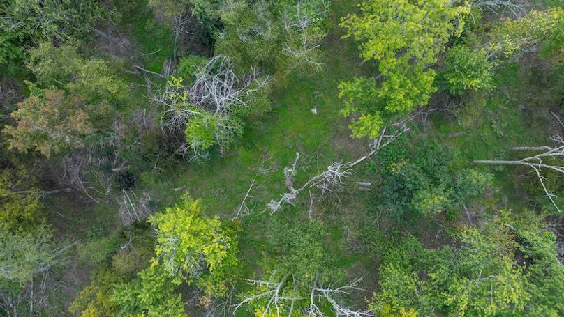 DJI_20250909194617_0026_D