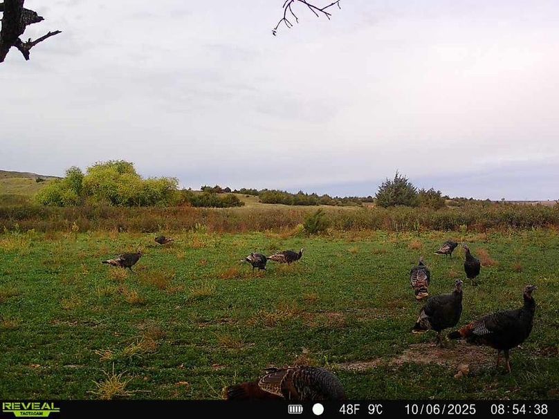 Copy of 868032069649766-100-3-10062025085438-W1006228