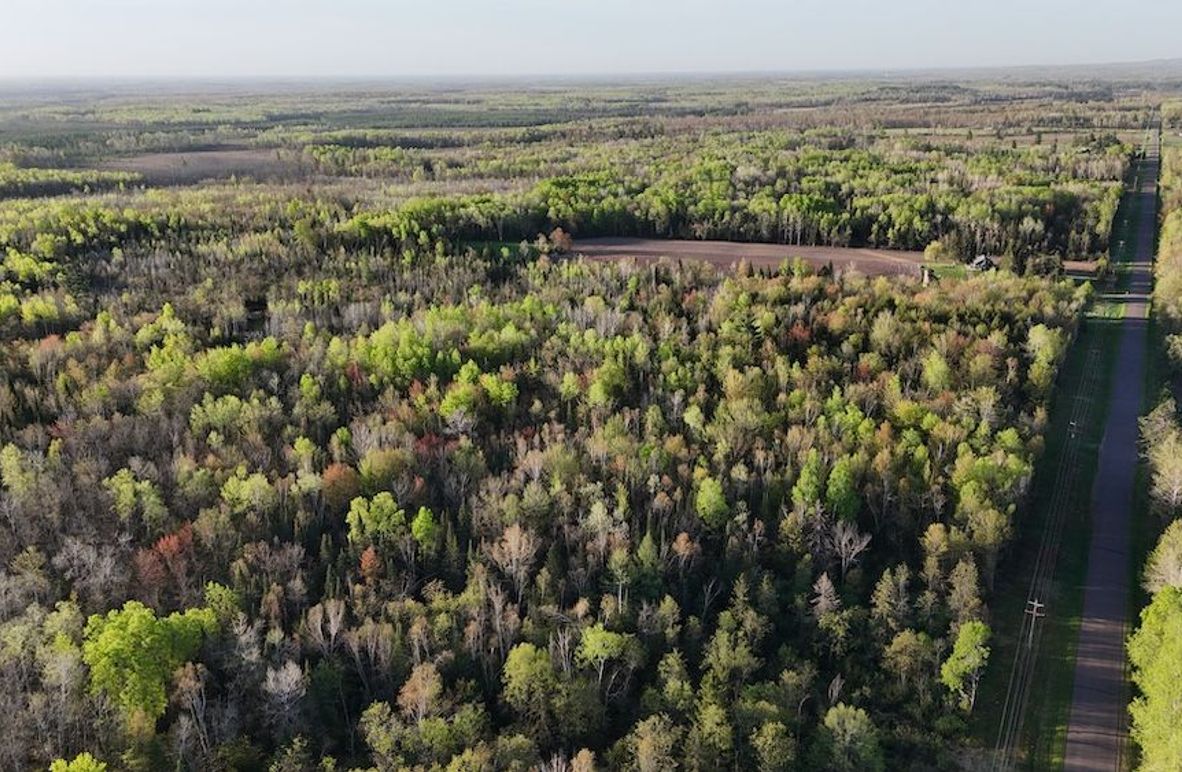 DJI_20260516065018_0042_D