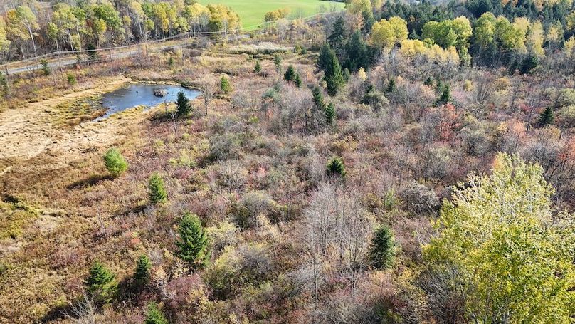 DJI_20251019122434_0760_D