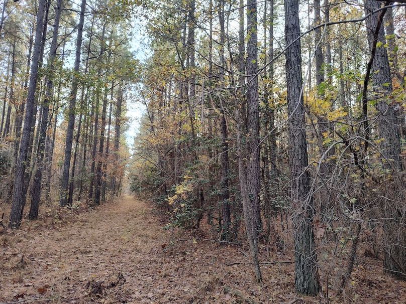 IMG_20251105_150558846_HDR