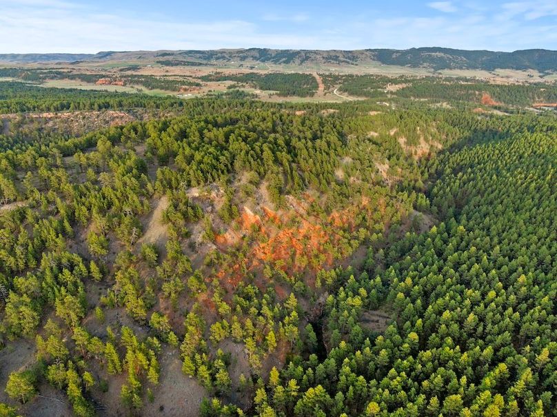 14-DJI_20250507190232_0810_D