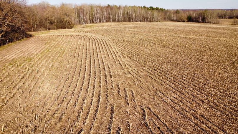 dji_fly_20230504_180412_684_1683241464232_photo_optimized