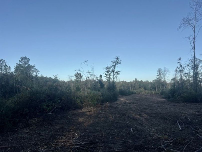 08FC786D-2A00-43CC-B0BB-5BF7E86E6E75_1_105_c