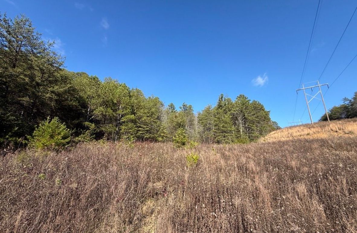 001 view under near the power lines looking northeast across the property
