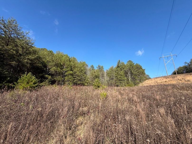 001 view under near the power lines looking northeast across the property