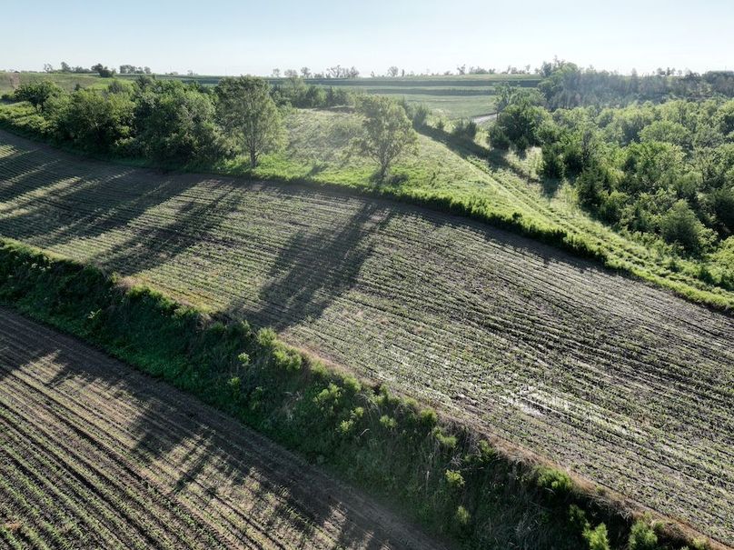 dji_fly_20260601_080454_533_1780319426270_photo