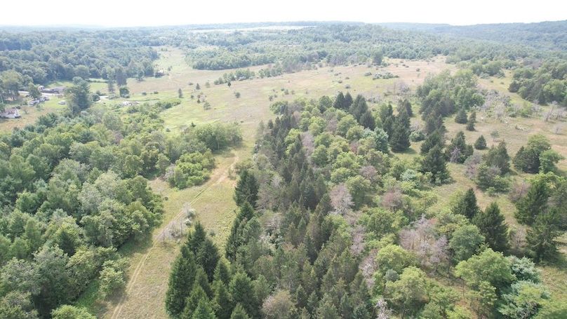 dji_fly_20250804_153154_490_1754355819740_photo