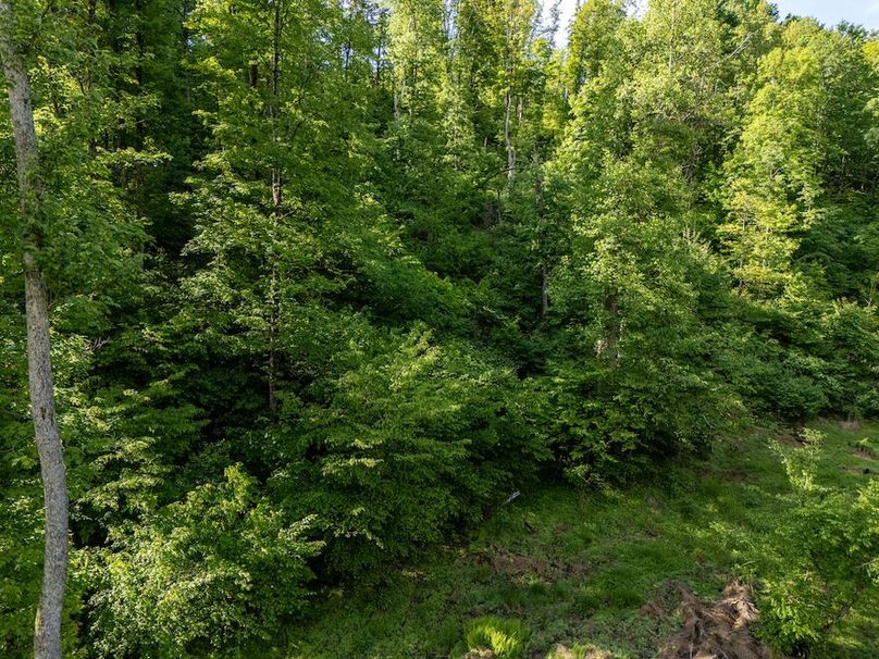 DJI_20250524070810_0363_D