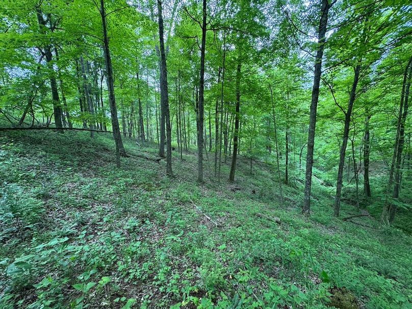 Pleasants, WV 168.59 AC Superior, Swank, Young-079