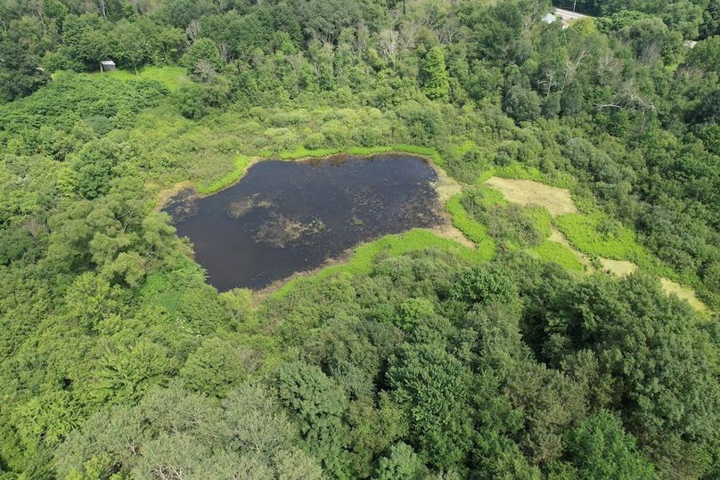 Oswego_13.95_Moore_Bush_Photos_11