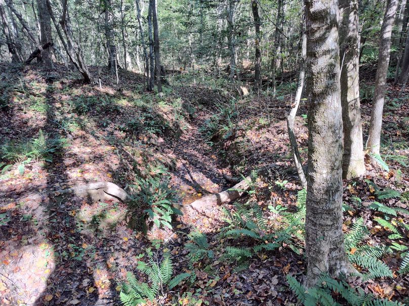 IMG_20231009_151514151_HDR