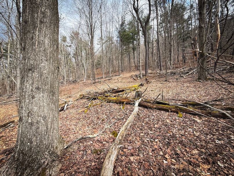 Chemung_32.07-Bower_photos_47