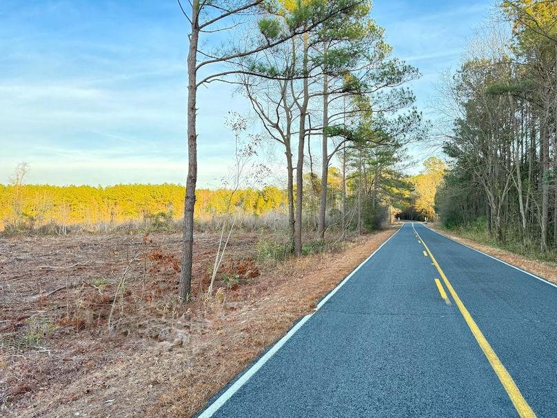 065A3185-B92E-4F7F-8214-AC4EE717724F