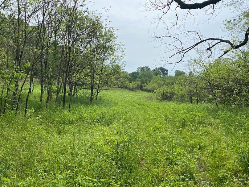 009 the lower field areas along Sugar Creek copy