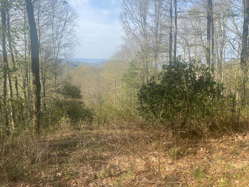 Jackson 2.19 Mansmith-09