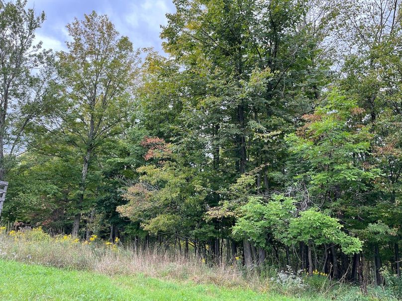 Schuyler_42.08_Austin Photo 23